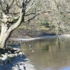 Ullswater nr Glencoyne Bay
