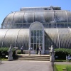The Palm House