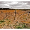 From gates to pylons
