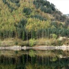 Autumn on Thirlmere, Cumbria.