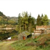 Autumn on Thirlmere, Cumbria.
