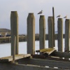 Newhaven Harbour