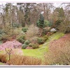 Gardens At Virginia Water