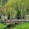 The bridge, Hovingham, North Yorkshire