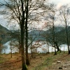 Ullswater Shore Nr Glencoyne Bay.
