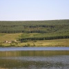 In the summer of 2005