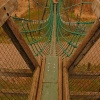 Rope bridge, Conkers, Moira, Leicestershire