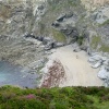 The Cliffs and Coast nr Portreath, Cornwall.