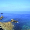 The Cliffs and Coast nr Portreath, Cornwall.