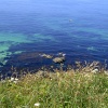 The Cliffs and Coast nr Portreath, Cornwall.