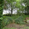 Lost Gardens of Heligan, Cornwall.