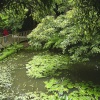 Lost Gardens of Heligan, Cornwall.