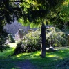 The churchyard, Tidenham, Gloucestershire