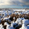 Winter on the Long Mynd, Church Stretton, Shropshire