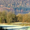 Frosty Morning at Windermere.