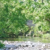 Stone Bridge, Stanhope, County Durham