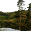 Autumn on Thirlmere