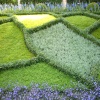 Hampton Court Flower Show 2007