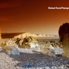 Cuckmere Haven Sunset