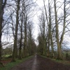 A walk along Green Lane, Wheatley, in search of Sue's plant!