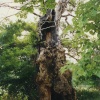 Lightening Strike