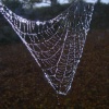 Broken web, Wheatley, Oxfordshire