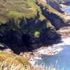 Boscastle caves in cliff
