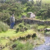 Dartmoor stream