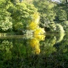 River Wear at Durham City.