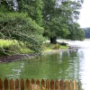 Esthwaite Water, near Hawkshead. Cumbria.