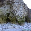 Headland