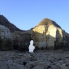 Headland