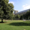 North side, Winchester Cathedral