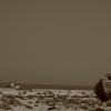 Abandoned fishing industry Dungeness