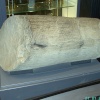 Plant Fossil, National Coal Mining Museum, Wakefield, West Yorkshire