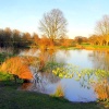 Neatherd Moor, Dereham, Norfolk
