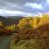 Autumn at Tarn Hows, Cumbria.