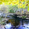 River nr Ambleside, Cumbria.