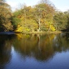 River nr Ambleside, Cumbria.