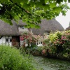 Cottage, Alresford, Hampshire