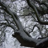 Snow in April, Barton Le Clay, Bedfordshire