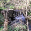 Cadgwith River.