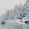 SPRING YOU SAY??
