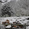 Hawkhurst, Kent