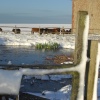 Seaford, East Sussex