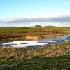 Frosty evening, Herrington Country Park.
