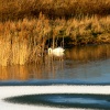 Evening meal, Herrington Country Park.