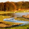 Cold, frosty evening at Herrington Country Park.