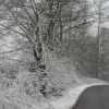 Hawkhurst, Kent