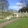The Garden